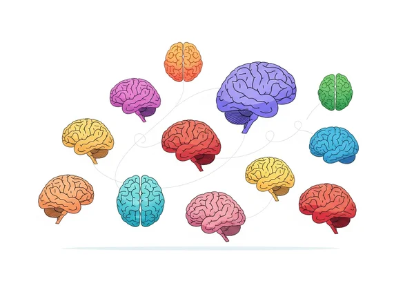 Diverse brains symbolizing neurodiversity acceptance